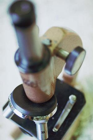 院内環境も充実しているつくば市の歯医者