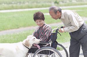 医療ウィッグで手軽にイメージチェンジ