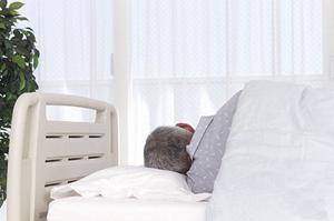 噛み合わせ治療を行うならおすすめの歯科