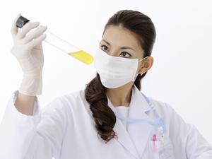 実績のある卵子提供プログラムについて