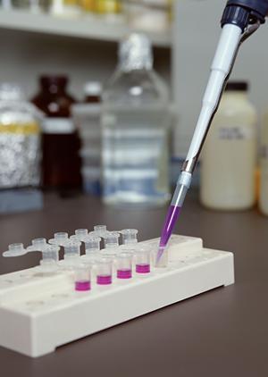 港南区で選ばれる歯医者トップガイド｜家族みんなが安心して通える歯科医院のポイント