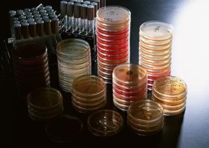 井田レディースクリニックに避妊について相談しよう